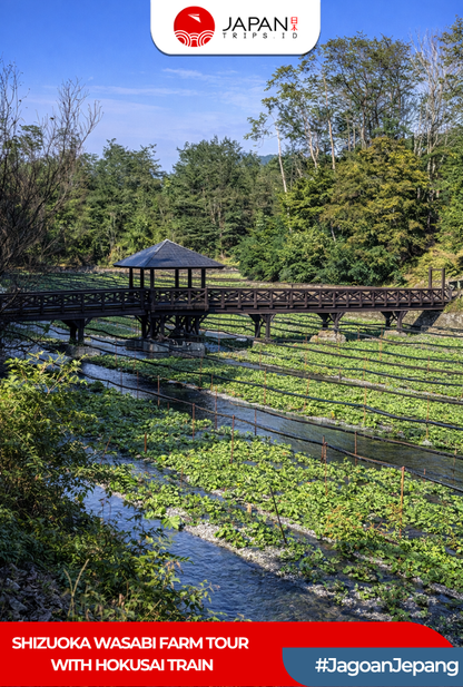 Shizuoka Wasabi Farm Tour with Hokusai Train