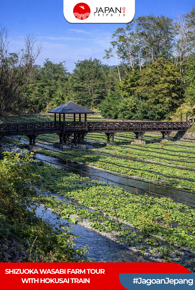 Shizuoka Wasabi Farm Tour with Hokusai Train