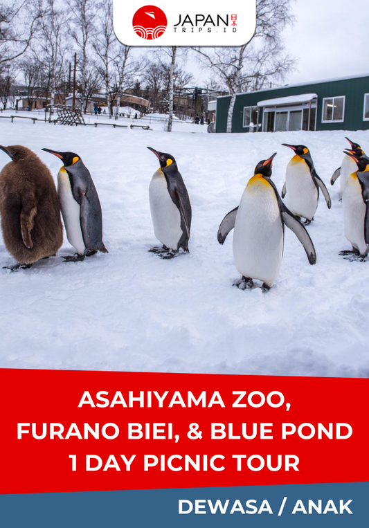 Asahiyama Zoo・Biei Blue Pond・Furano 1DAY Picnic Tour