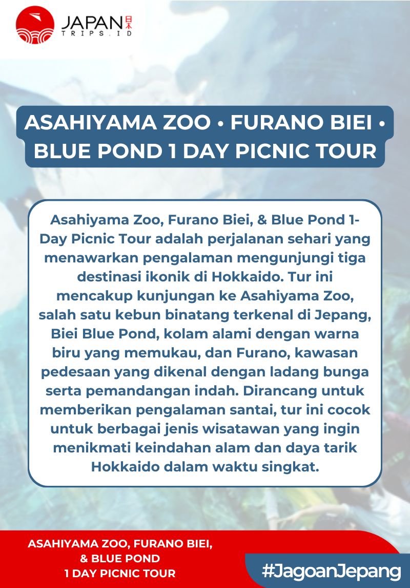 Asahiyama Zoo・Furano Biei・Blue Pond 1 Day Picnic Tour