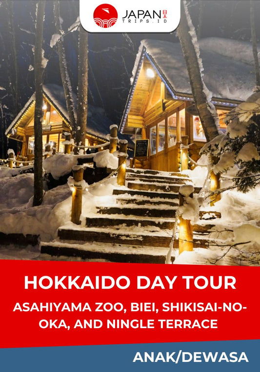 Hokkaido Day Tour – Asahiyama Zoo, Biei, Shikisai-no-oka, and Ningle Terrace