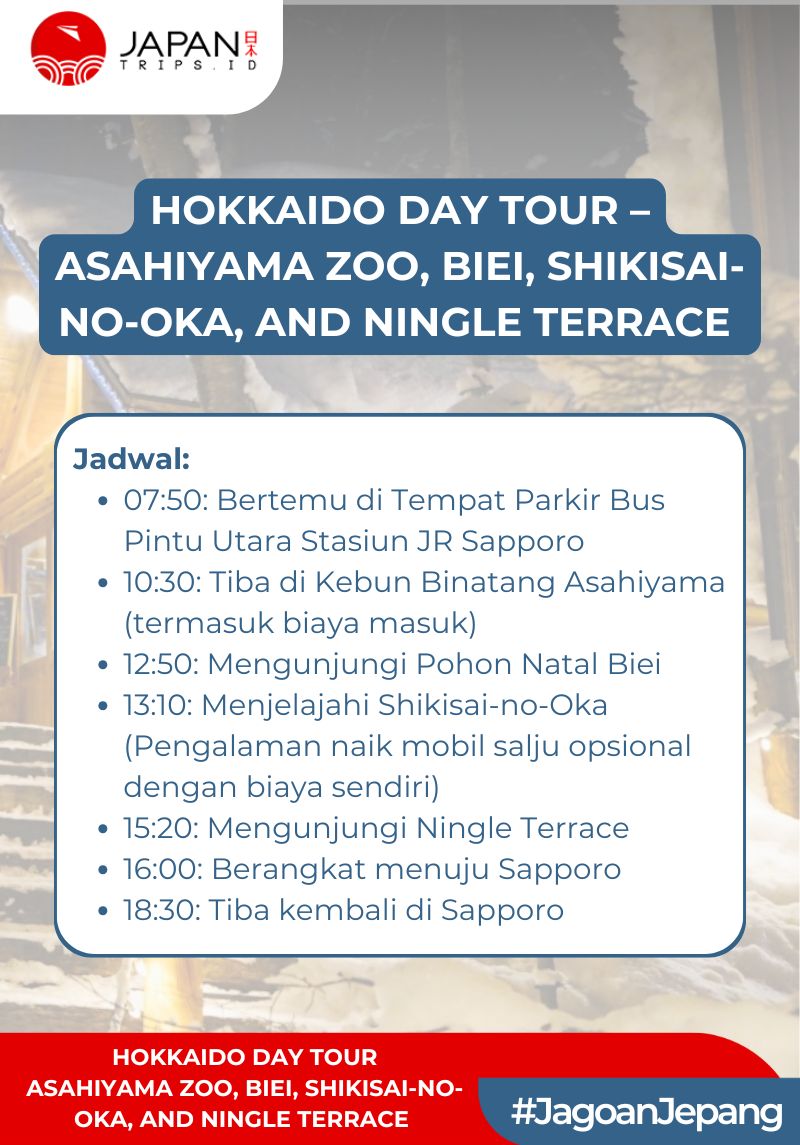 Hokkaido Day Tour – Asahiyama Zoo, Biei, Shikisai-no-oka, and Ningle Terrace