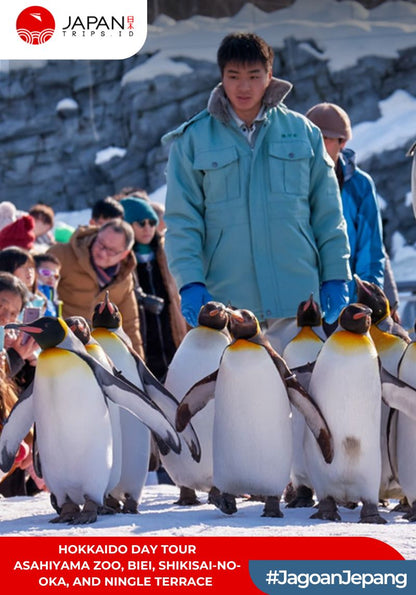 Hokkaido Day Tour – Asahiyama Zoo, Biei, Shikisai-no-oka, and Ningle Terrace