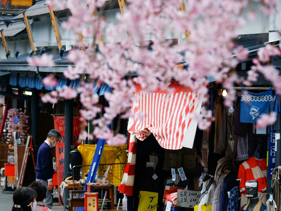 Asakusa District Travel Guide