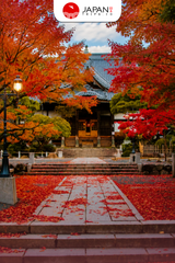 Izuhakone Line 2-Day & 1-Day Pass (Rail & Bus) | Tiket Izuhakone Line 1 & 2 Hari (Kereta & Bus)