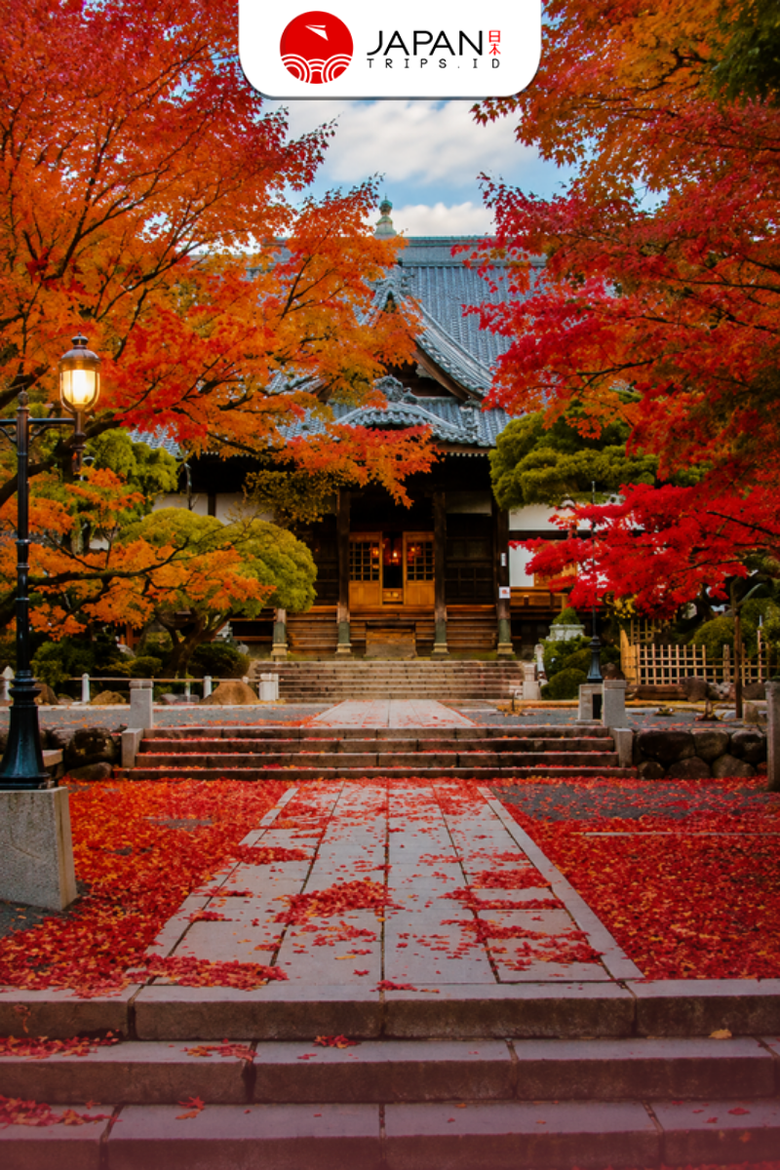 Izuhakone Line 2-Day & 1-Day Pass (Rail & Bus) | Tiket Izuhakone Line 1 & 2 Hari (Kereta & Bus)