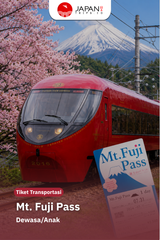Mt. Fuji Pass | Mt. Fuji View Express