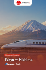 Shinkansen Kodama Tokyo to Mishima