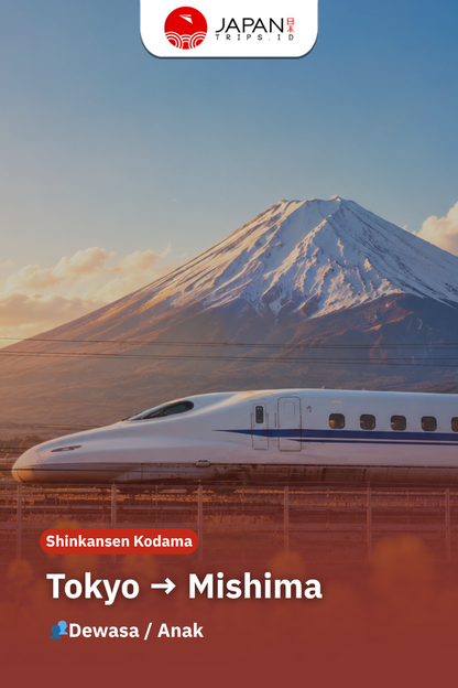 Shinkansen Kodama Tokyo to Mishima