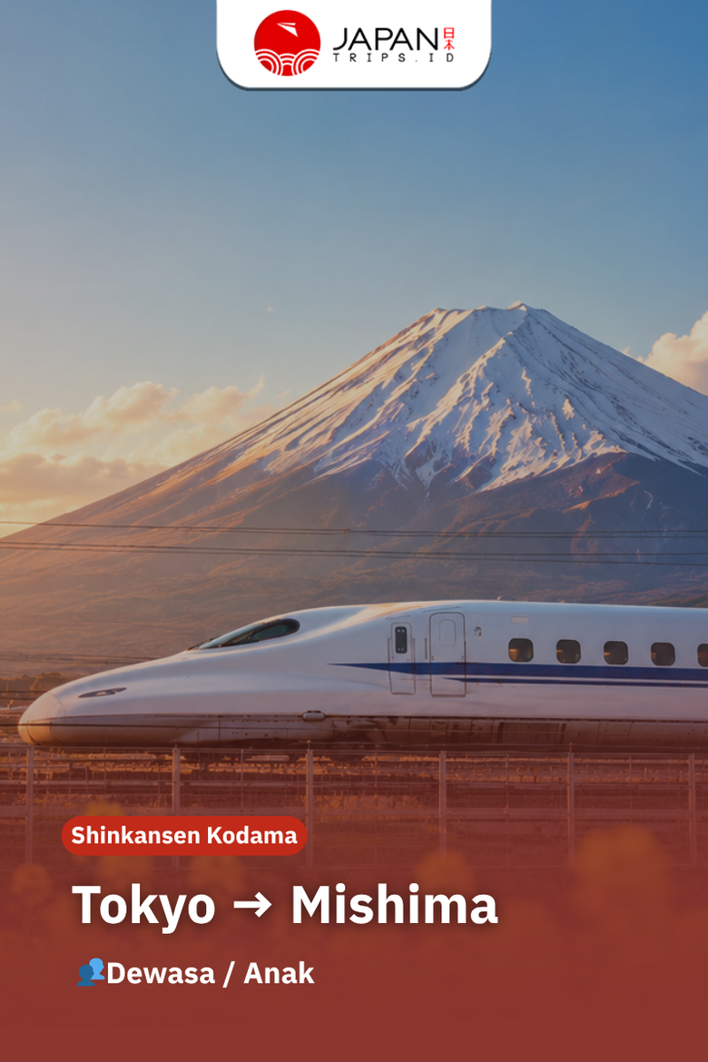 Shinkansen Kodama Tokyo to Mishima