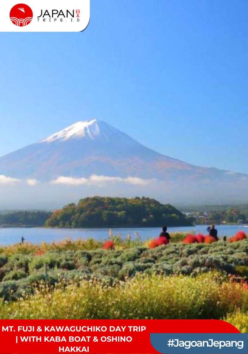 Mt. Fuji & Kawaguchiko Day Trip | With KABA Boat & Oshino Hakkai