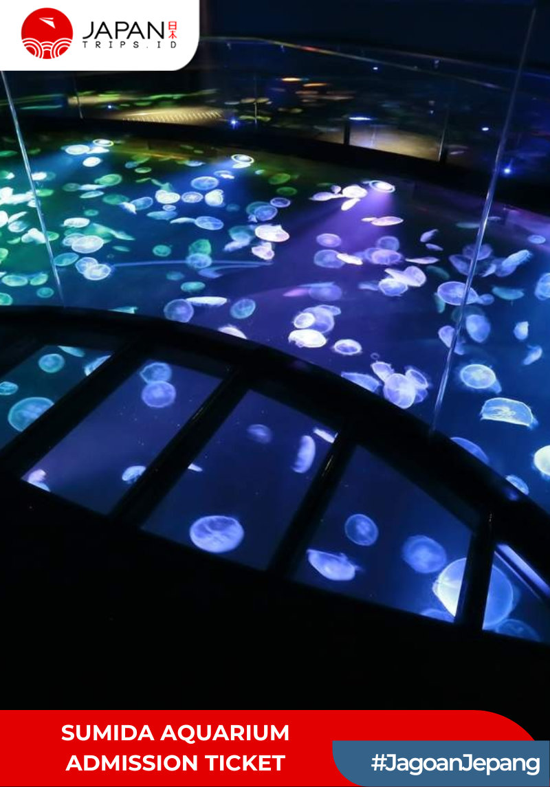 Sumida Aquarium Admission Ticket