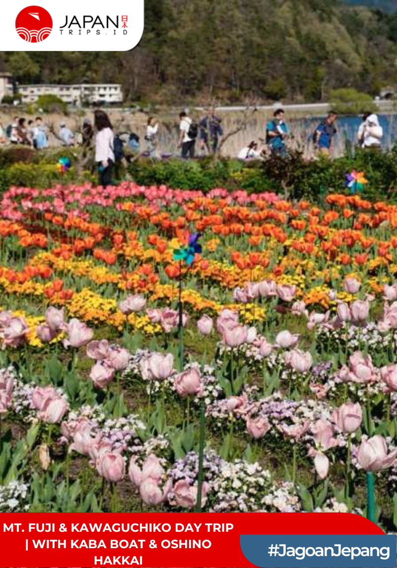 Mt. Fuji & Kawaguchiko Day Trip | With KABA Boat & Oshino Hakkai