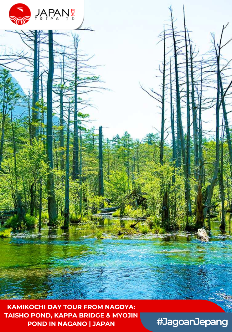 Kamikochi Day Tour from Nagoya: Taisho Pond, Kappa Bridge & Myojin Pond in Nagano | Jepang