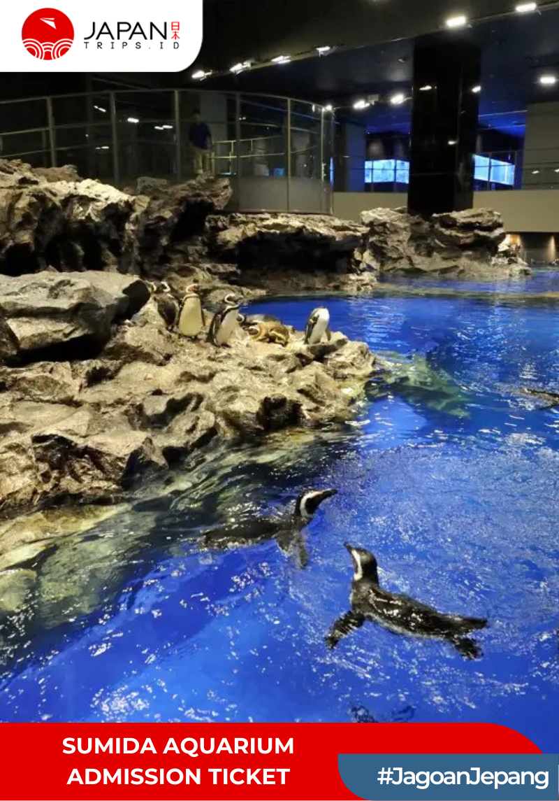 Sumida Aquarium Admission Ticket