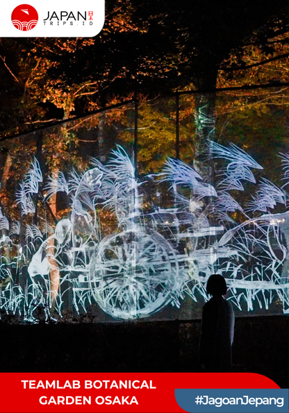 Teamlab Botanical Garden Osaka | Teamlab Osaka