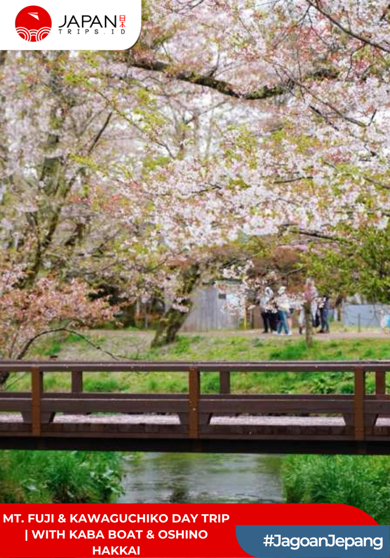 Mt. Fuji & Kawaguchiko Day Trip | With KABA Boat & Oshino Hakkai