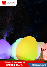 Teamlab Botanical Garden Osaka | Teamlab Osaka