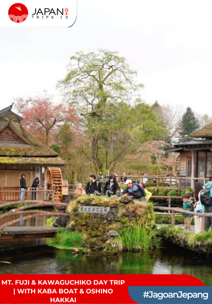 Mt. Fuji & Kawaguchiko Day Trip | With KABA Boat & Oshino Hakkai