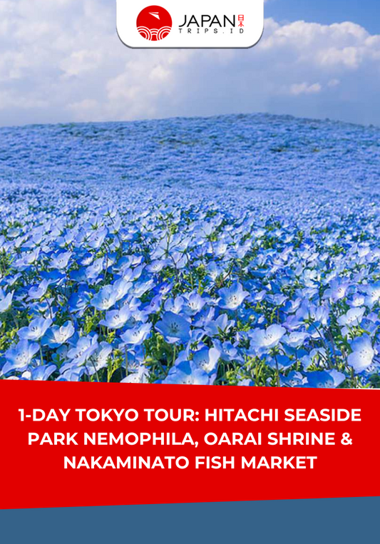 1-Day Tokyo Tour: Hitachi Seaside Park Nemophila, Oarai Shrine & Nakaminato Fish Market