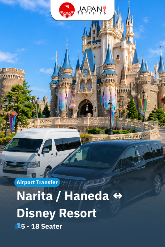 Private Airport Transfer To Disney Resort | Rental Mobil Disneyland Jepang