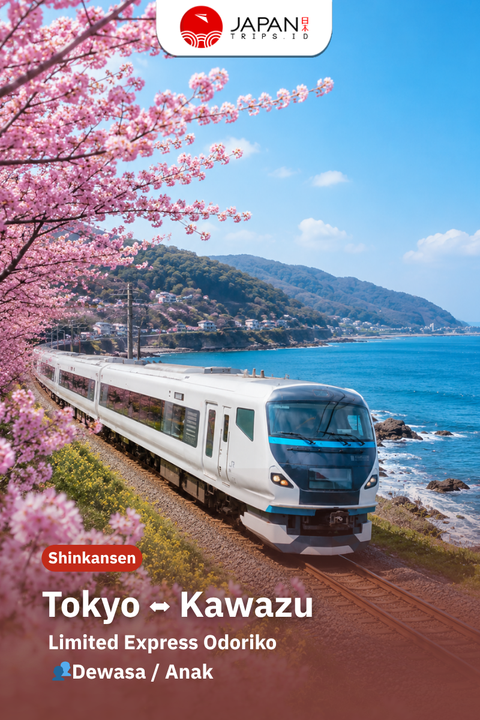 One Way Tokyo ↔  Kawazu Limited Express Odoriko