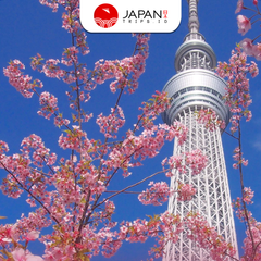 Tokyo Skytree