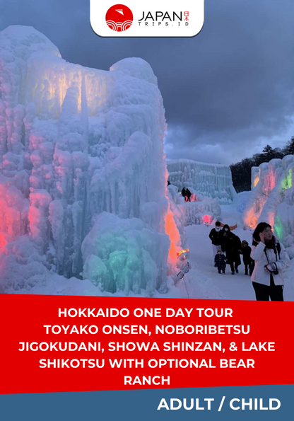 Hokkaido One Day Tour Toyako Onsen, Noboribetsu Jigokudani, Showa Shinzan, & Lake Shikotsu With Optional Bear Ranch