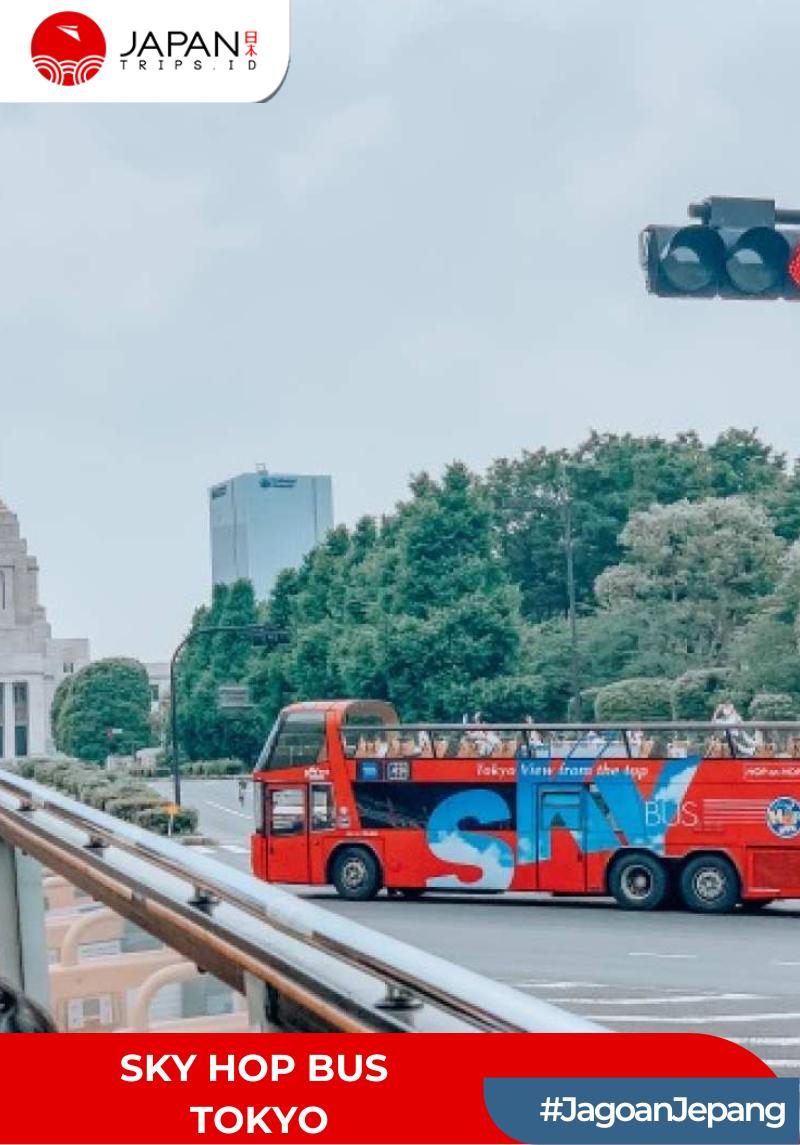 Tokyo Sky Hop Bus Day Pass | Japan