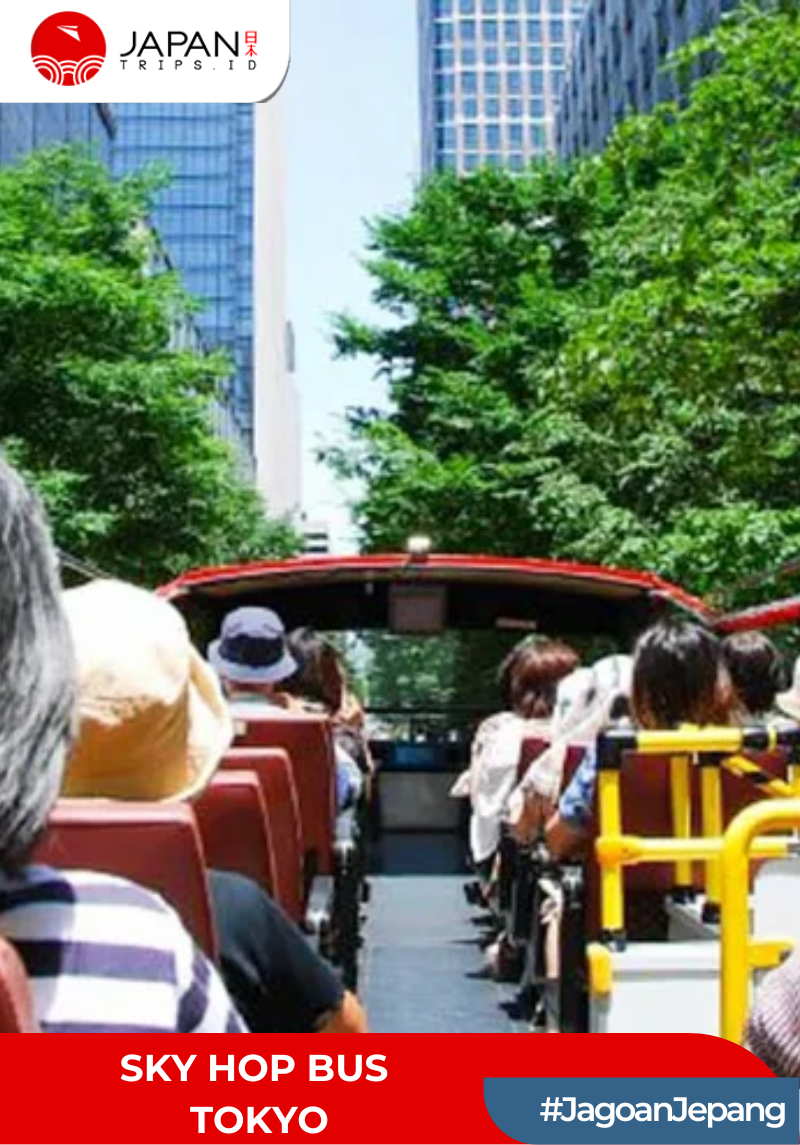 Tokyo Sky Hop Bus Day Pass | Japan