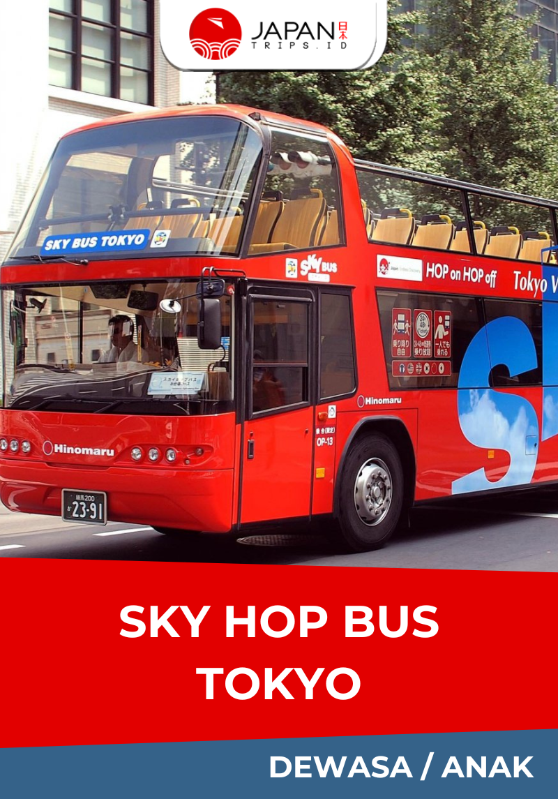Tokyo Sky Hop Bus Day Pass | Japan