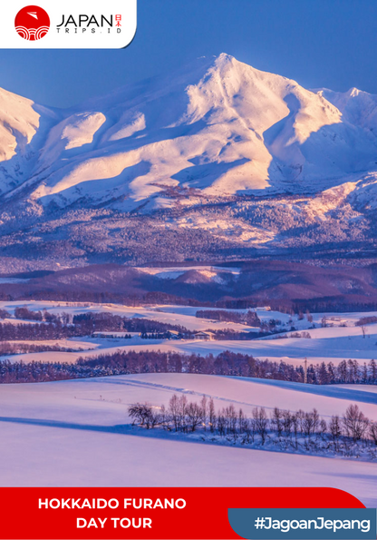 Hokkaido Furano Day Tour | Asahiyama Zoo, Shirogane Blue Pond, Shirahige Falls & Lunch