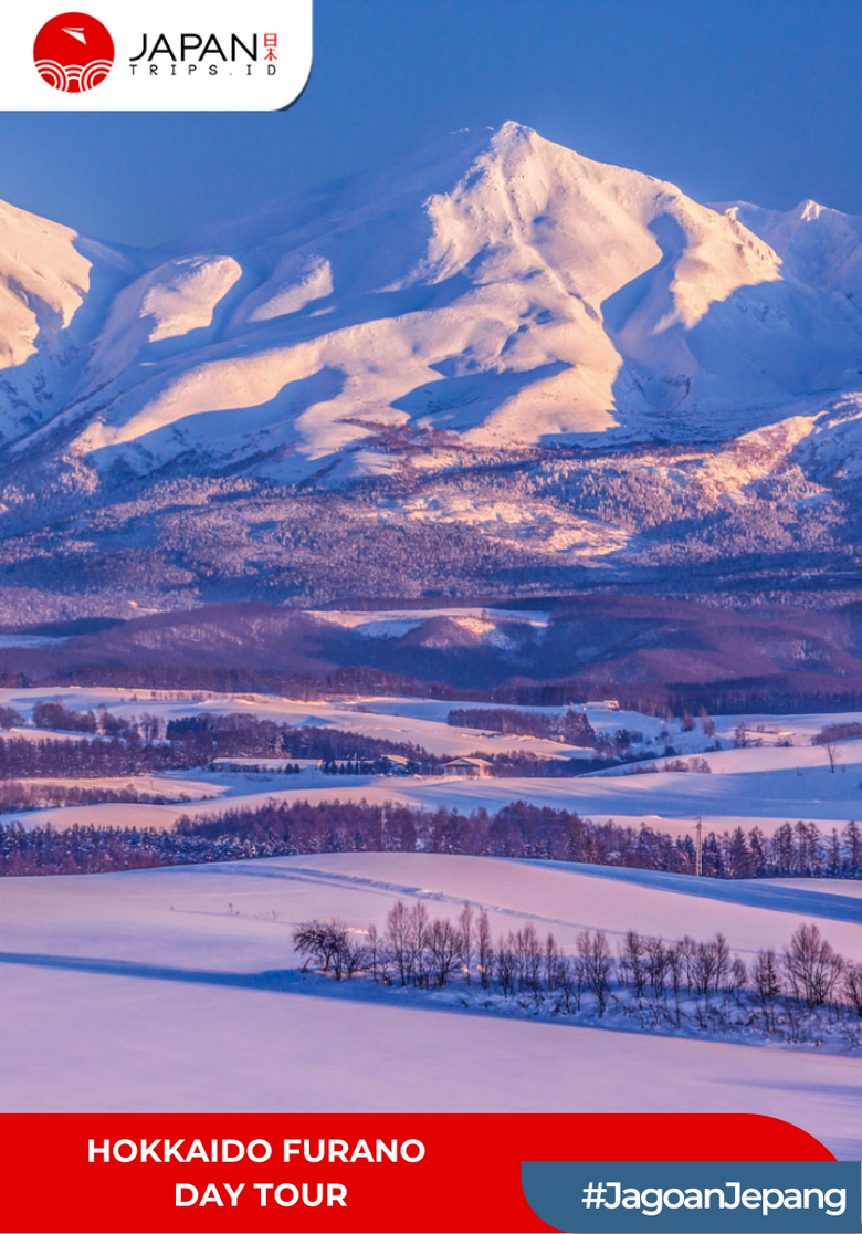 Hokkaido Furano Day Tour | Asahiyama Zoo, Shirogane Blue Pond, Shirahige Falls