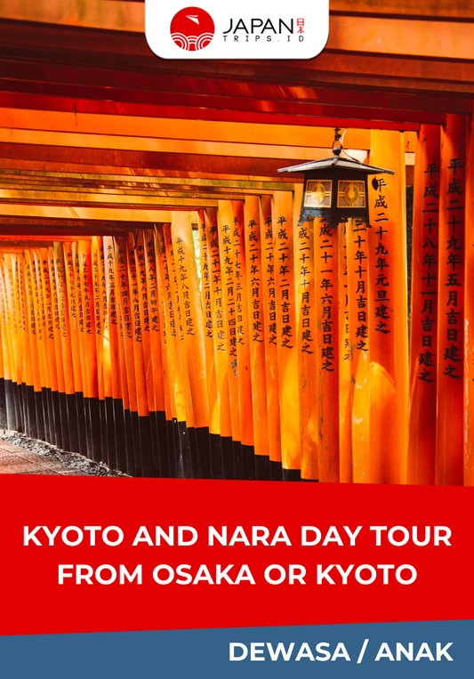 Kyoto and Nara Day Tour from Osaka or Kyoto