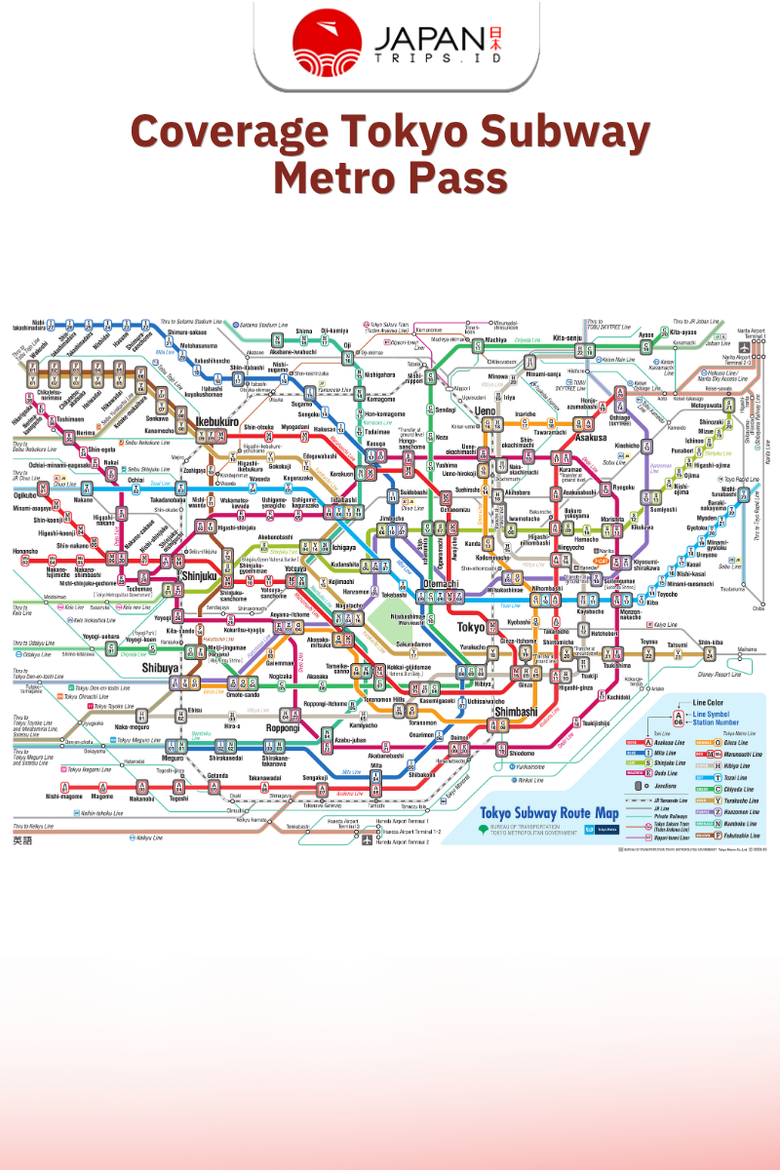 Tokyo Subway Metro Pass