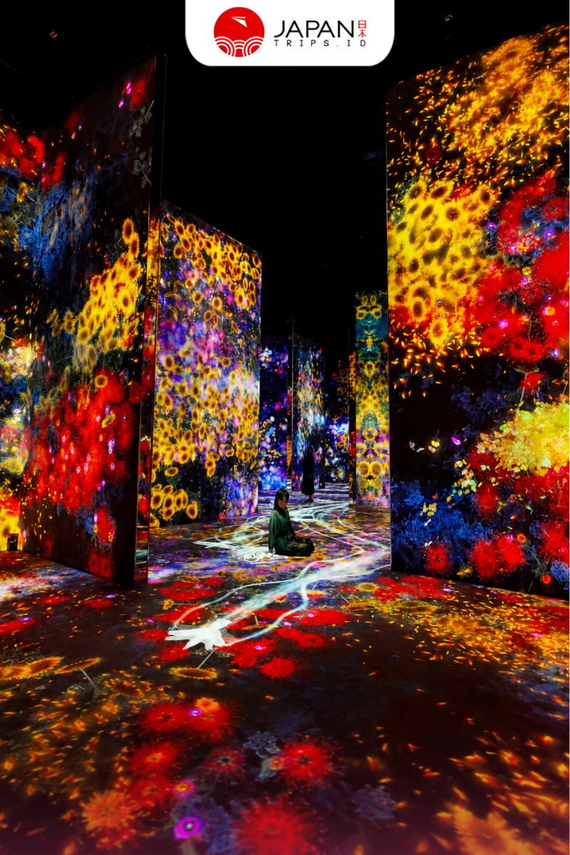 teamLab Planets Tokyo Ticket