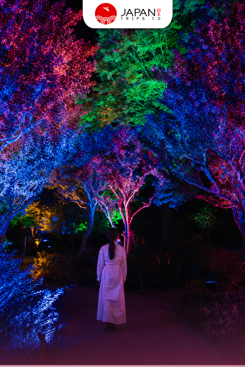 Teamlab Botanical Garden Osaka | Teamlab Osaka