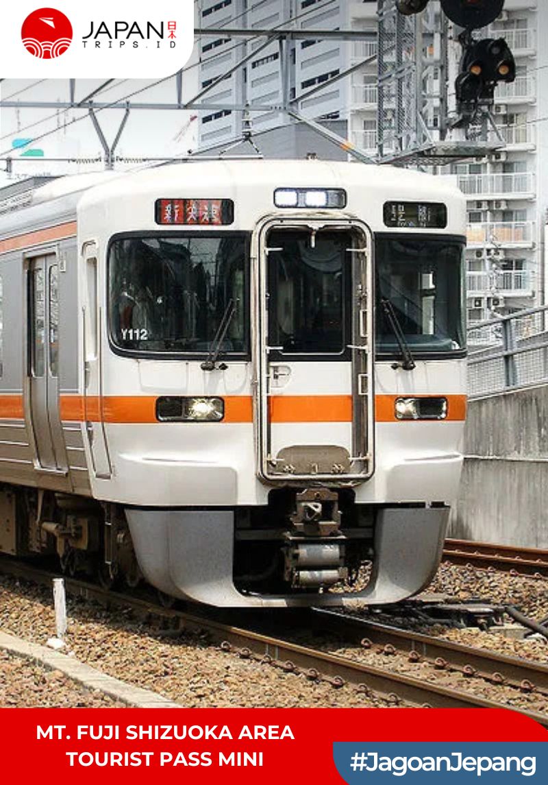 Mt. Fuji Shizuoka Area Tourist Pass Mini 3 Days