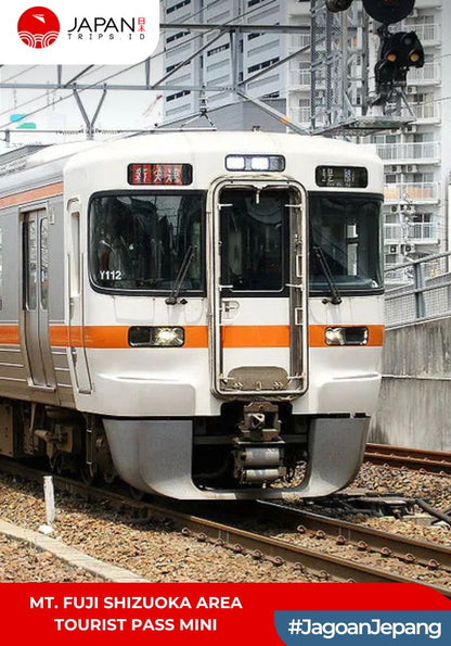 Mt. Fuji Shizuoka Area Tourist Pass Mini 3 Days