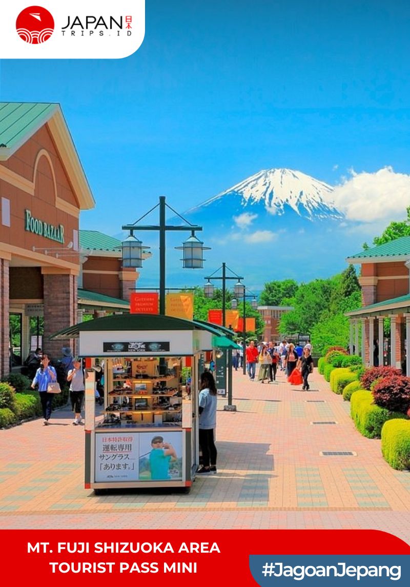 Mt. Fuji Shizuoka Area Tourist Pass Mini 3 Days