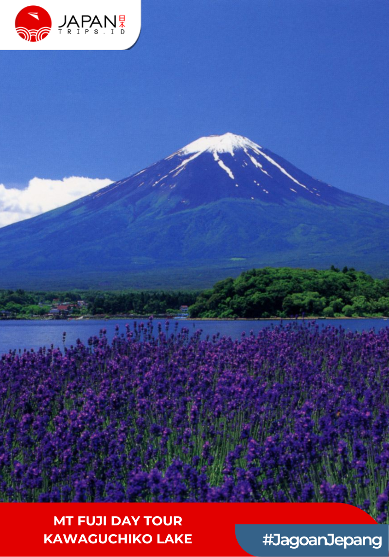 Mt Fuji Day Tour Kawaguchiko Lake