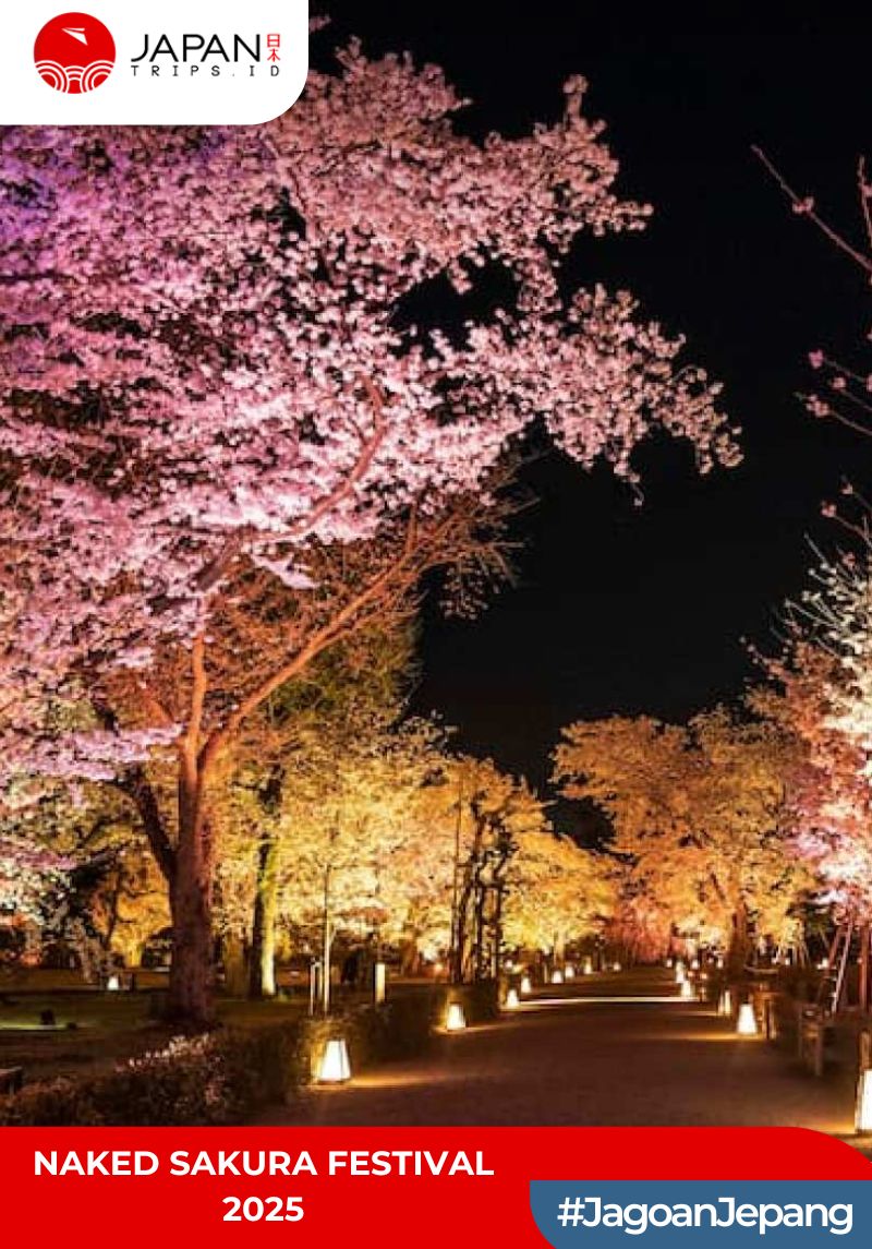 Naked Sakura Festival 2025 World Heritage Nijo Castle Admission Ticket
