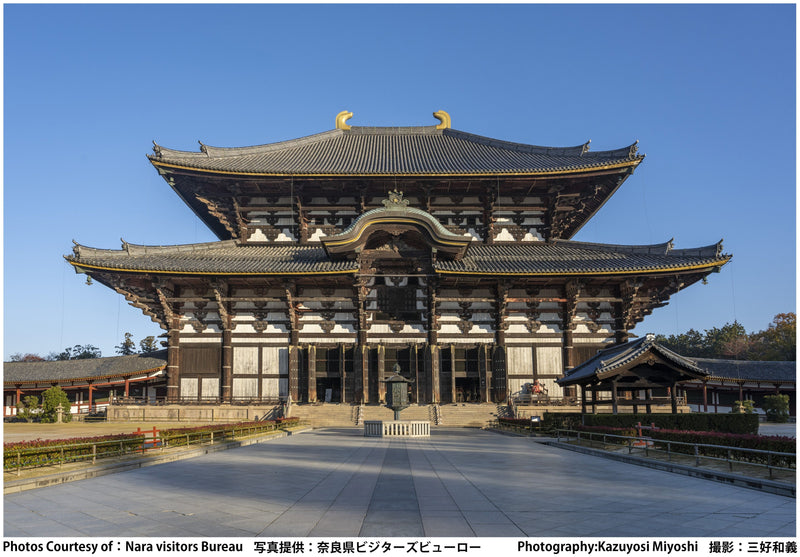 English Guided Sightseeing Bus Perfect Nara Park Tour | Tur Taman Nara