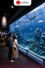 Sumida Aquarium Admission Ticket