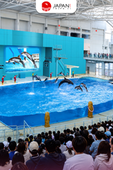 Yokohama Hakkeijima Sea Paradise