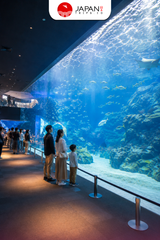 Kyoto Aquarium Admission Ticket | Tiket Kyoto Aquarium