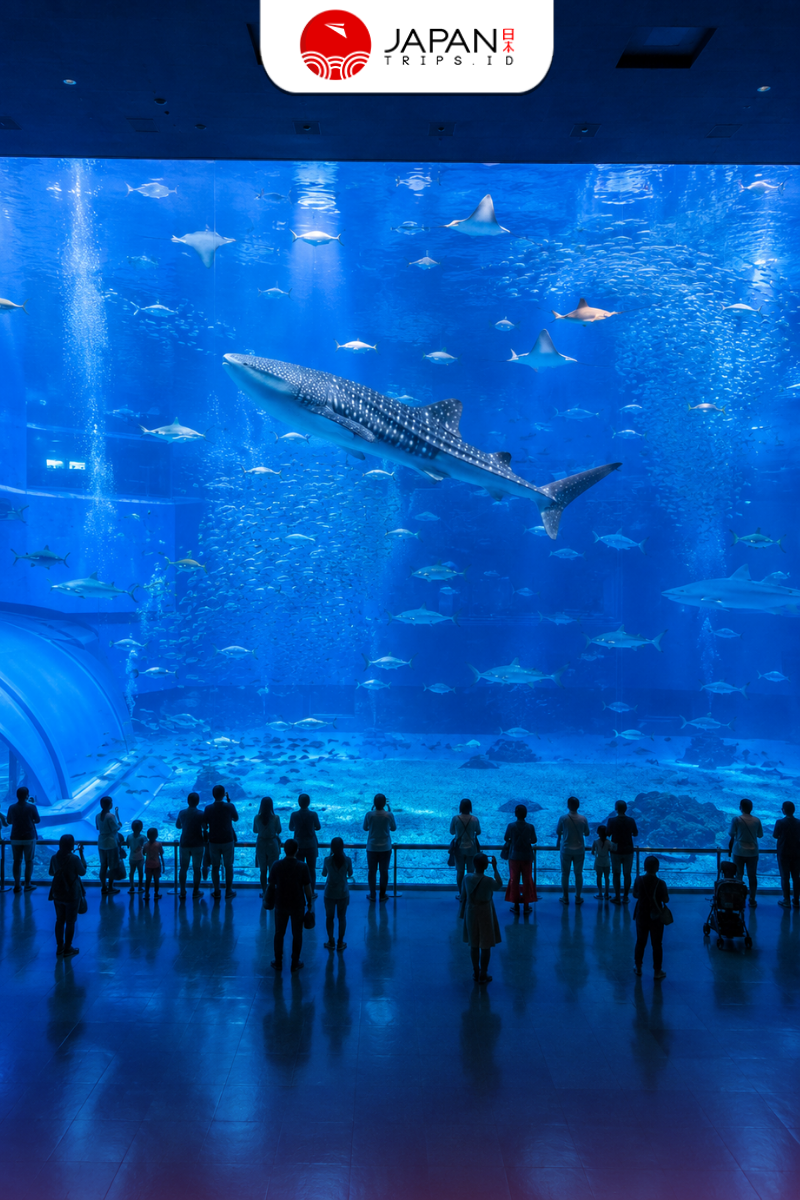 Kaiyukan Aquarium Osaka