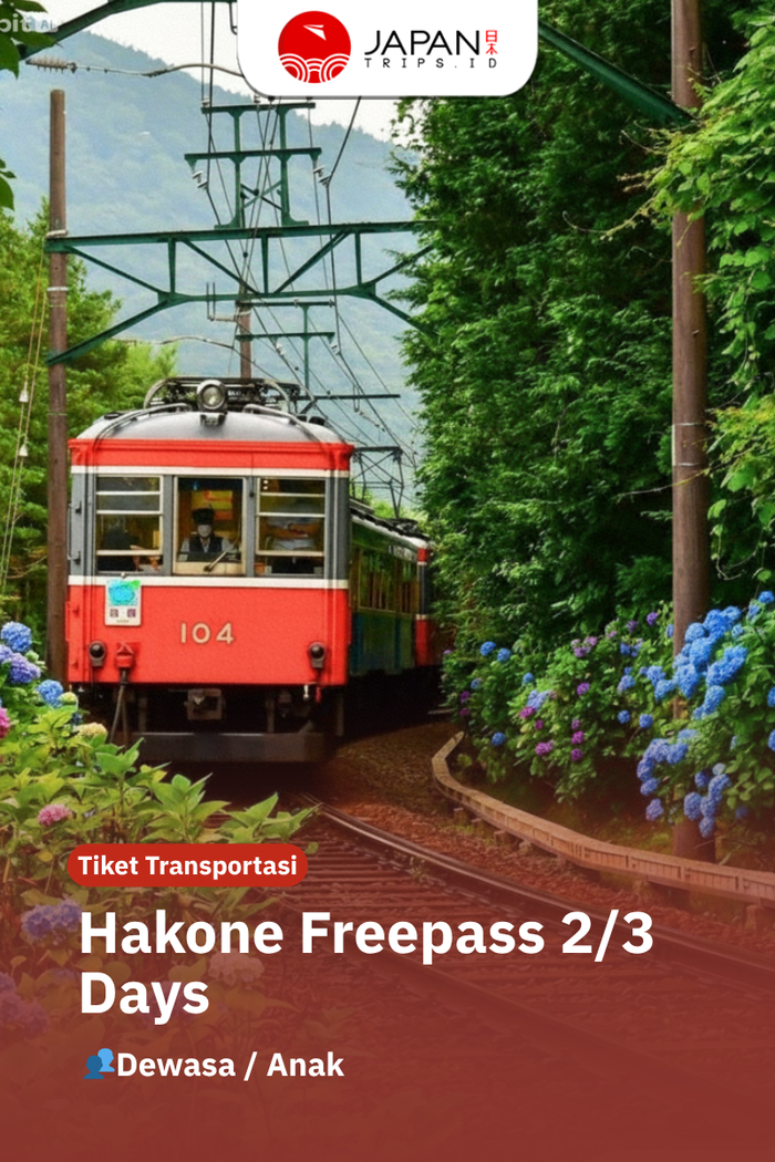 Hakone Freepass 2/3 Days | Shinjuku Odawara Pass