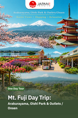 Mt. Fuji Day Trip: Arakurayama, Oishi Park & Outlets/Onsen