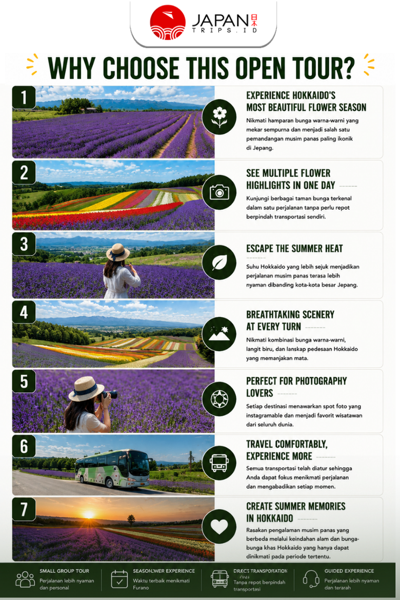 Hokkaido Furano Flower Fields One Day Tour | Tur Satu Hari di Ladang Bunga Furano Hokkaido